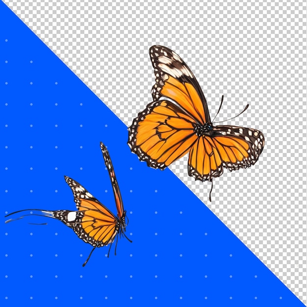 Monarch butterfly isolated on transparent backgroundpng