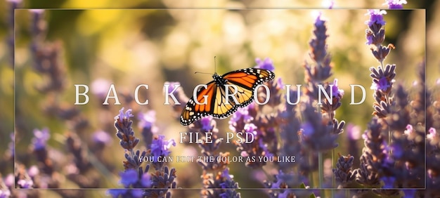 PSD monarch butterfly soaring above lavender field