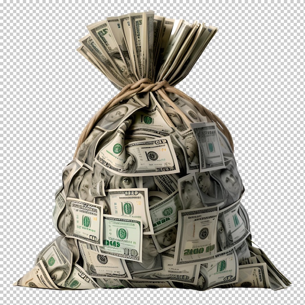 money bag on isolated transparent background