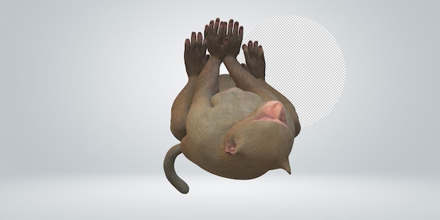 Monkey isolated on a Transparent Background