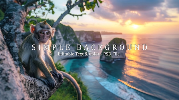 PSD monkey on the tree animals in the wild landscape during sunset