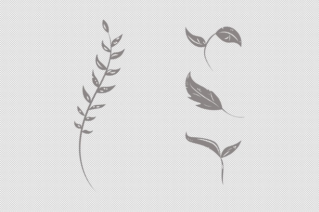 PSD monochrome herbs and leaves clipart for collage