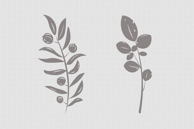 Monochrome herbs and leaves illustrations clipart