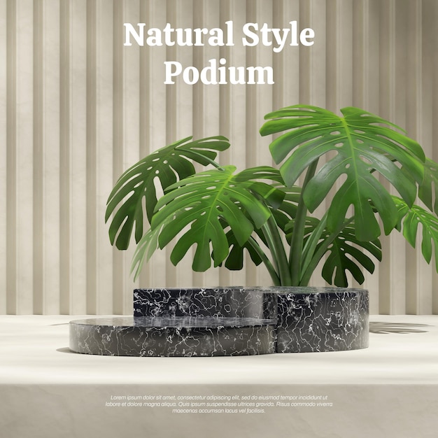 monstera deliciosa and pattern wall rendering 3d blank mockup black marble podium in square