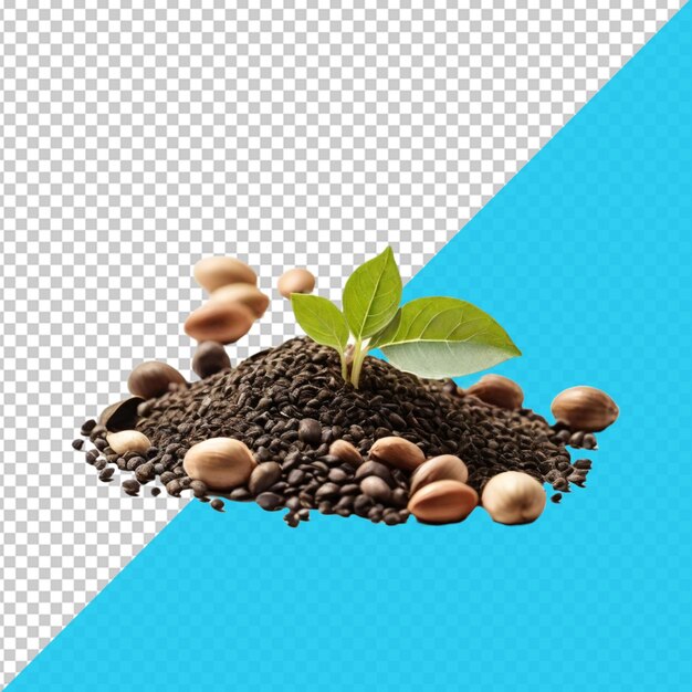 PSD a mound of coffee beans and a plant on a blue background