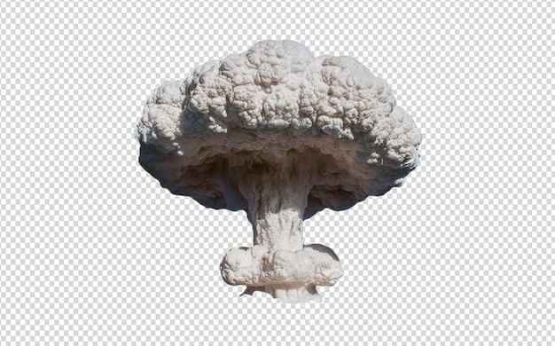 a mushroom is shown on a white background