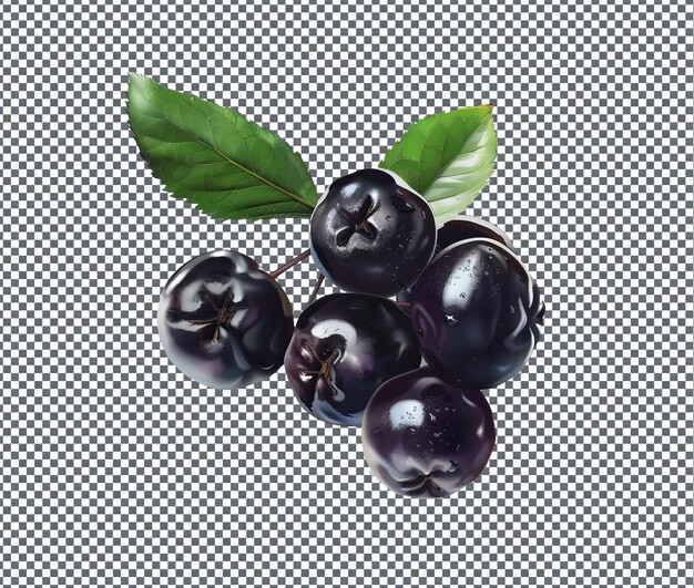 PSD natural and fresh aronia berries isolated on transparent background