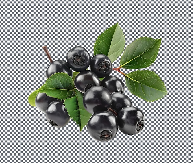 Natural and Fresh Aronia berries isolated on transparent background