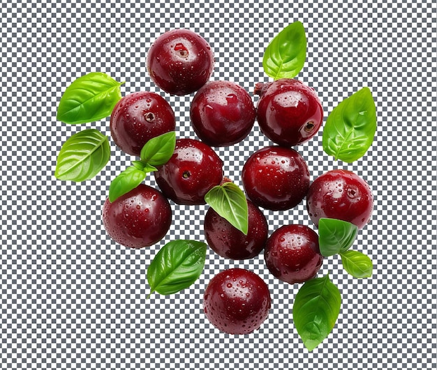 Natural and Fresh Bertoua Berry Basil Bites isolated on transparent background