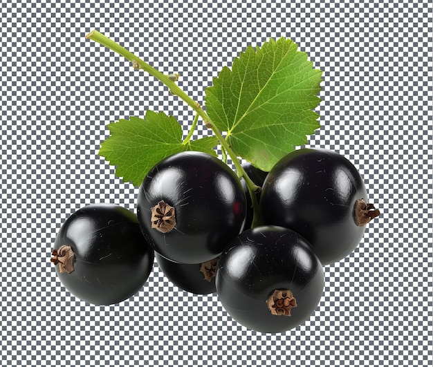 Natural and Fresh Black Currant isolated on transparent background