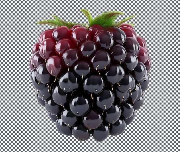 Natural and Fresh Blackberry Raspberry Hybrid isolated on transparent background