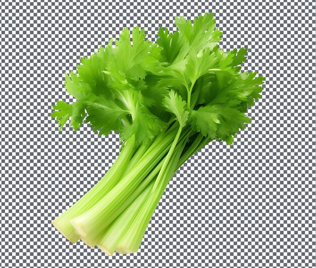 Natural and fresh Celery isolated on transparent background