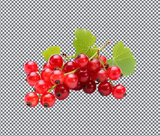 Natural and fresh currant isolated on transparent background