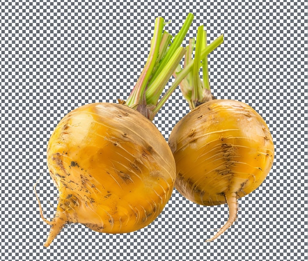 PSD natural and fresh golden beet isolated on transparent background