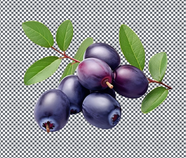 Natural and Fresh Honeyberry isolated on transparent background