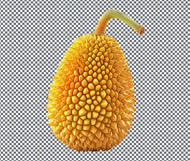 Natural and fresh Jackfruit isolated on transparent background