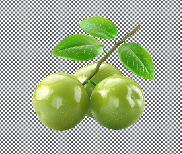 Natural and Fresh Kakadu Plum isolated on transparent background