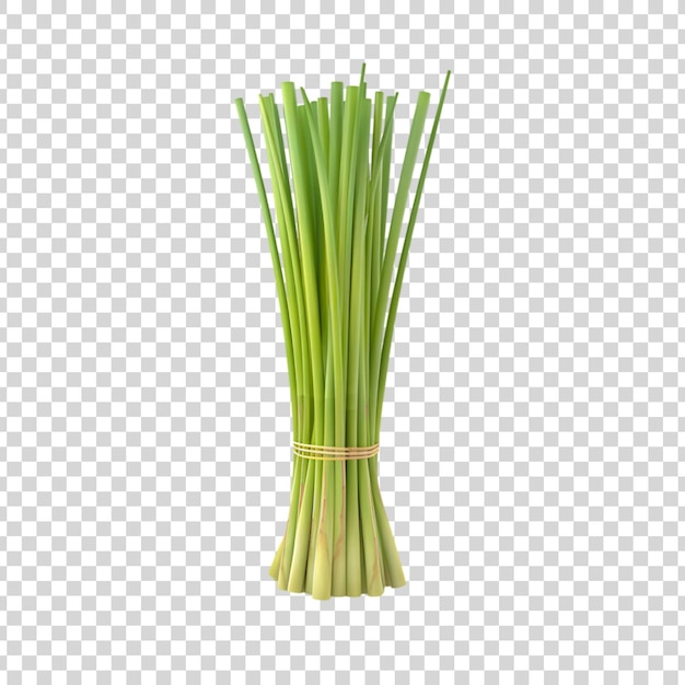 Natural and Fresh Lemongrass isolated on a transparent background