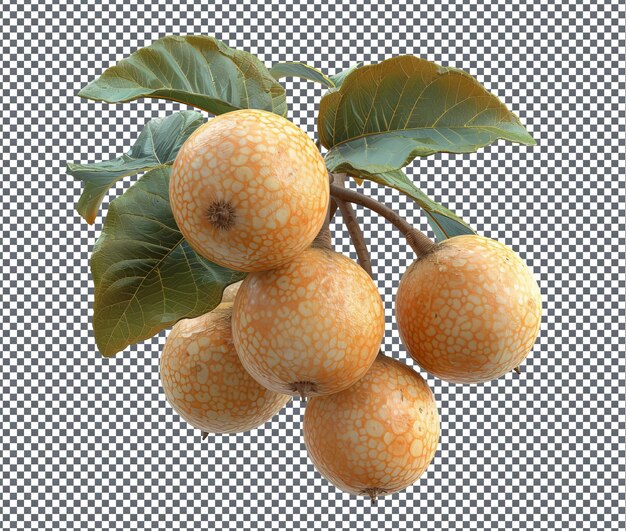 PSD natural and fresh longan isolated on transparent background