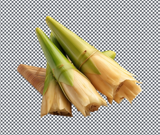 Natural and fresh Vietnamese Bamboo Shoot isolated on transparent background