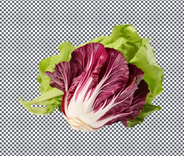 Natural and fresh Winter Radicchio isolated on transparent background