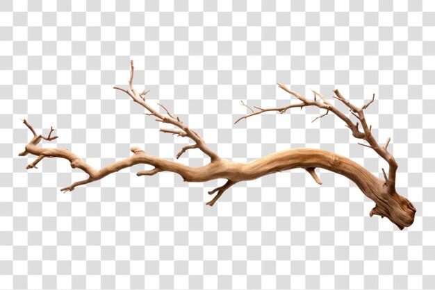 PSD natural wooden branch isolated