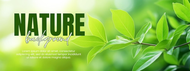 PSD nature background or banner template with green leaf in garden at summer