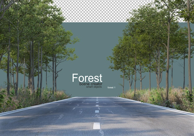 PSD the nature of the forest with various types of trees and shrubs