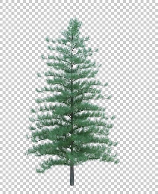 Nature object tree isolated  white  background