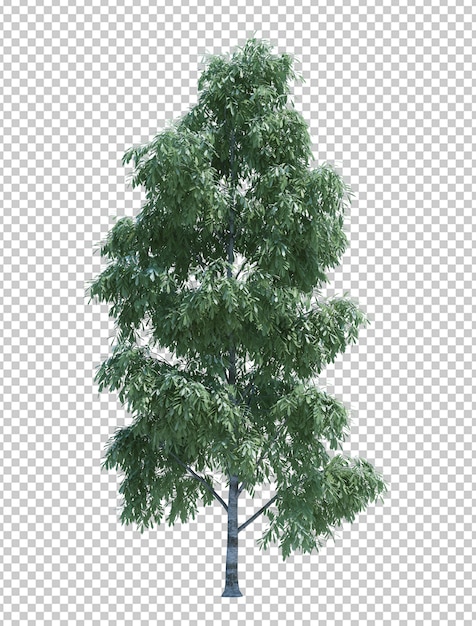 Nature object tree isolated 