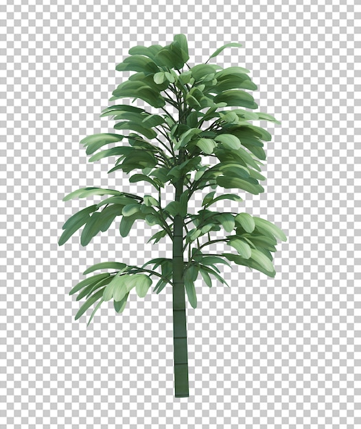 Nature object tree isolated