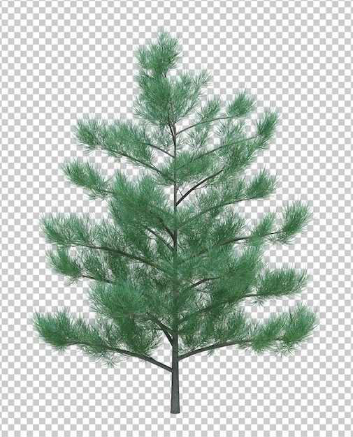 Nature object tree isolated