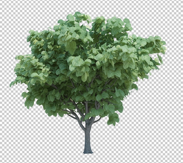 Nature object tree isolated