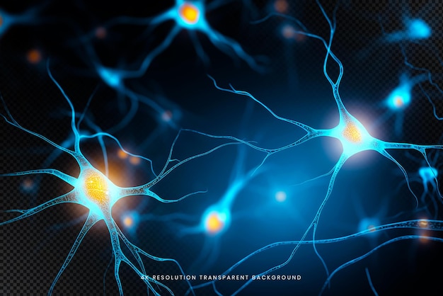 PSD neurons communicating synaptic transmission neurobiology on transparent background