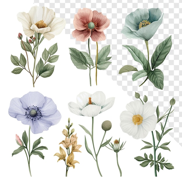 Neutral Scheme Simple Spring Flowers Watercolor Clipart Set