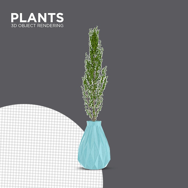 New plant indoor plants 3d rendering