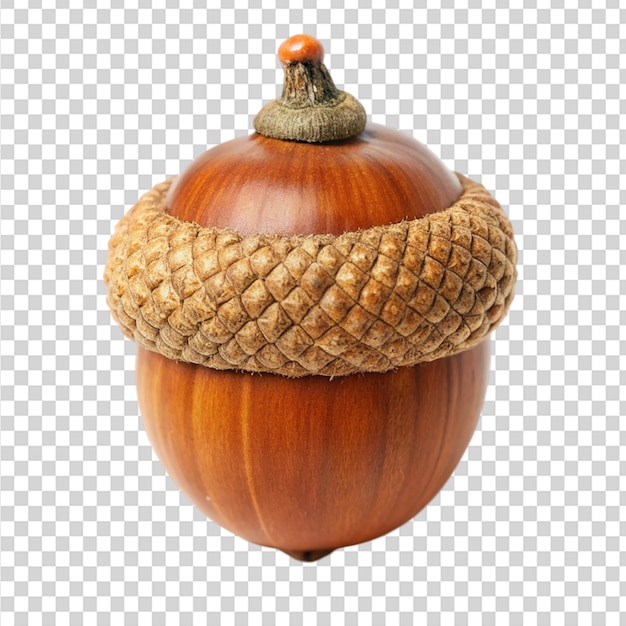 PSD a nut with a rope around it on transparent background