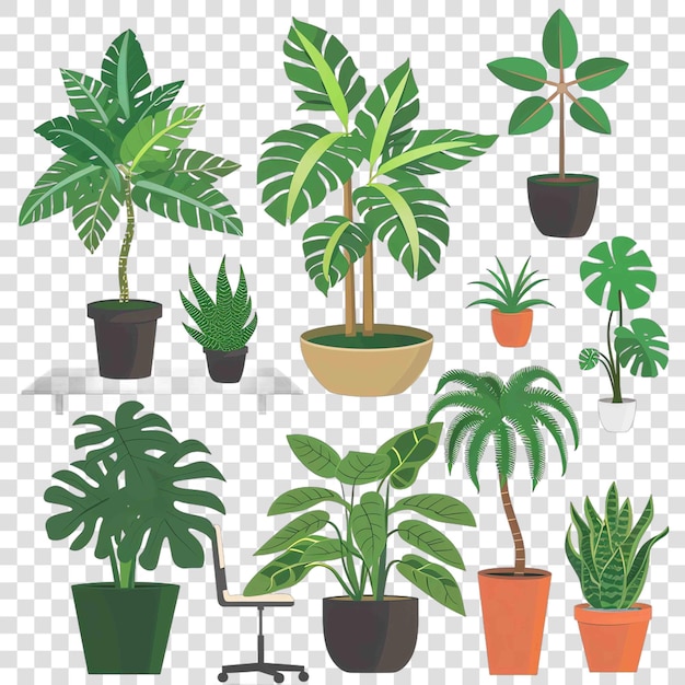 Office plants transparent background vector element