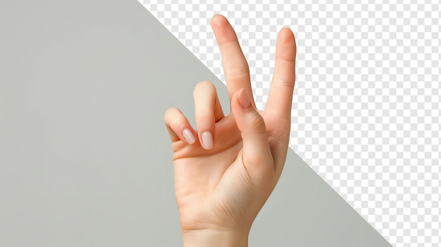 OK Hand Gesture from Young Woman