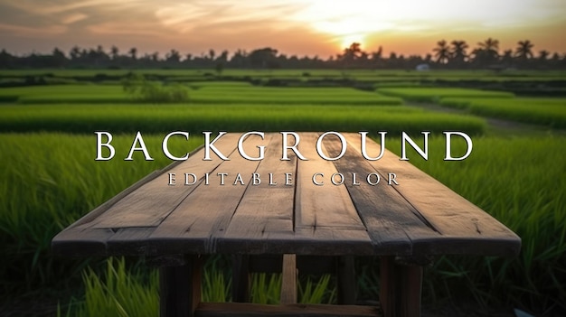 old wooden table next to green rice fields in the evening at sunset