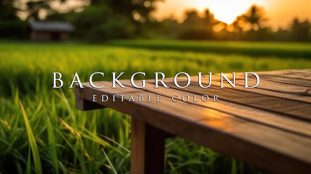 old wooden table next to green rice fields in the evening at sunset