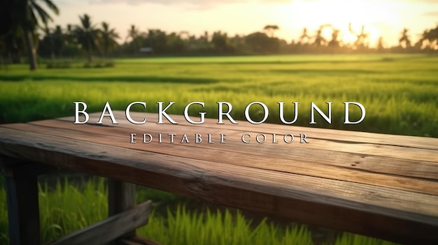 old wooden table next to green rice fields in the evening at sunset