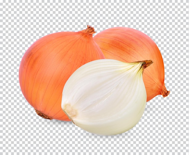 Onion isolated Permiun PSD