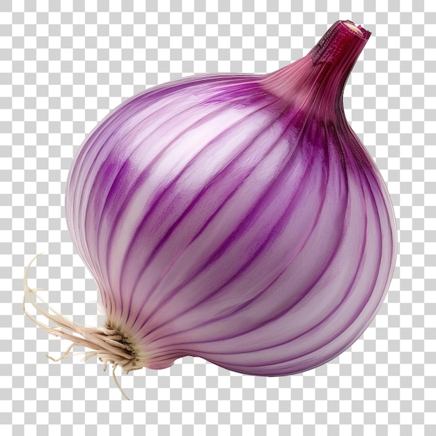 Onion isolated on transparent background PNG