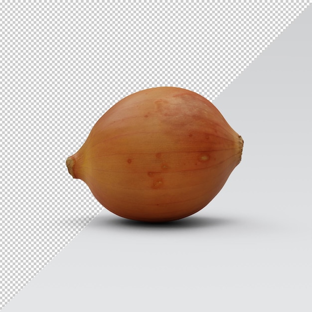 PSD onion isolated