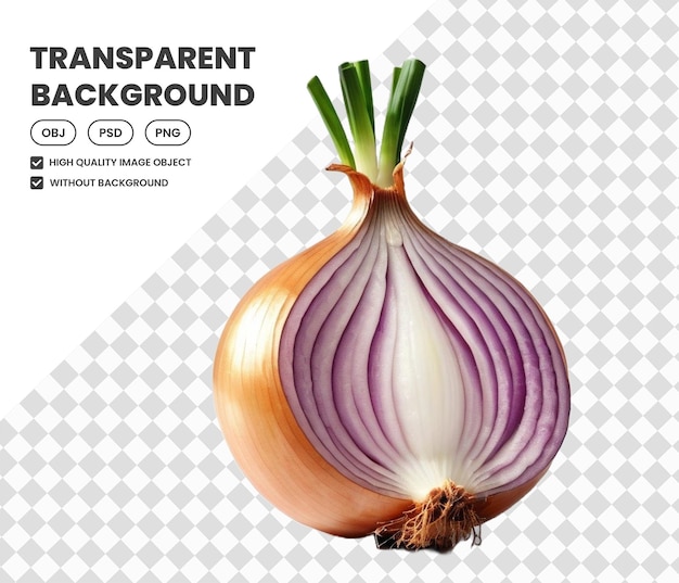 onion png