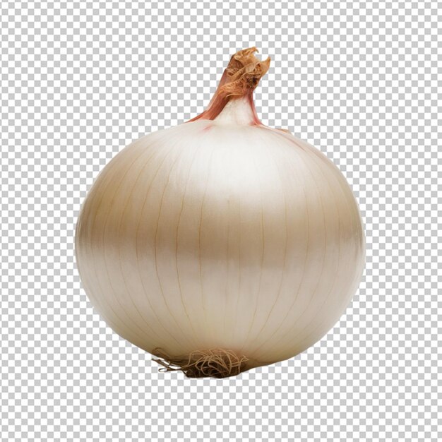 PSD a onion with a label that says garlic on it