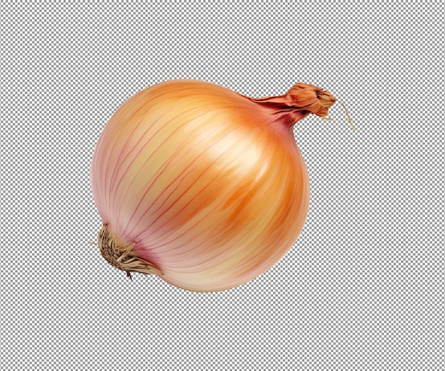 a onion with a purple and yellow skin is shown on a polka dot background