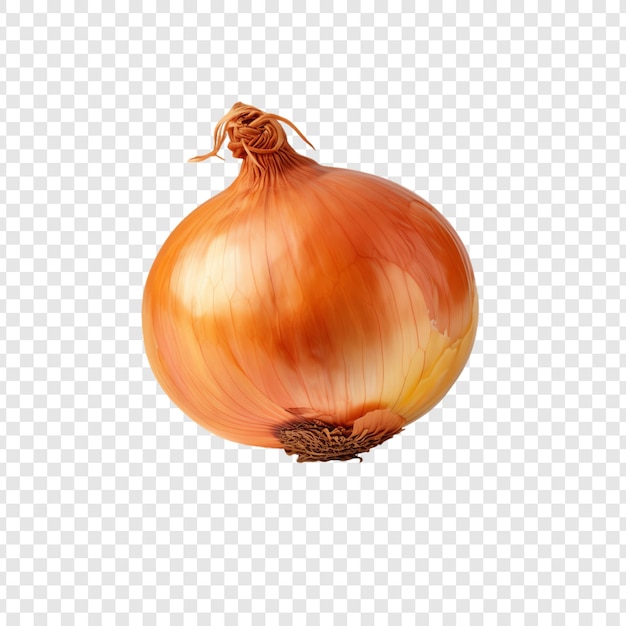 a onion with a yellow onion on a checkered background