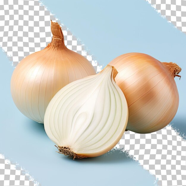 Onions cut transparent background